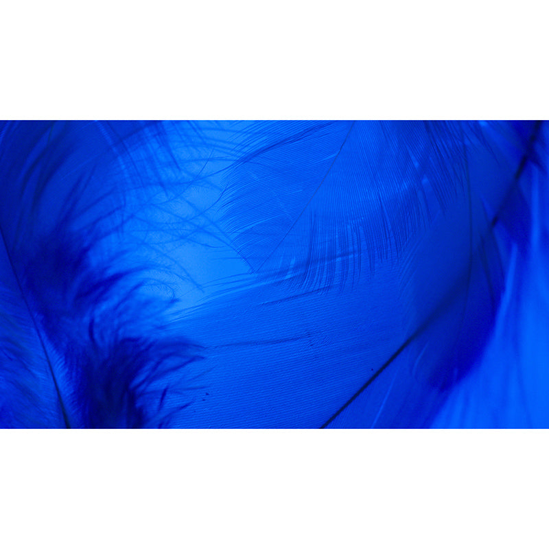 Environment Friendly Resistant Mural Wallpaper Dream Catcher Living Room Wall Mural