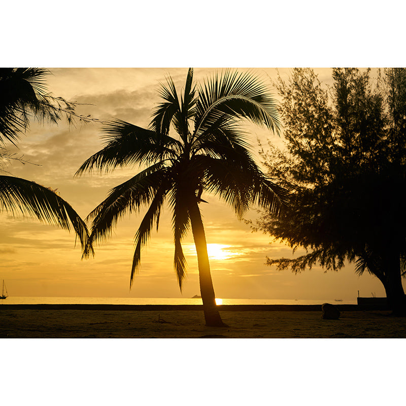 Decorative Wall Mural Wallpaper Tropical Landscape Sitting Room Wall Mural