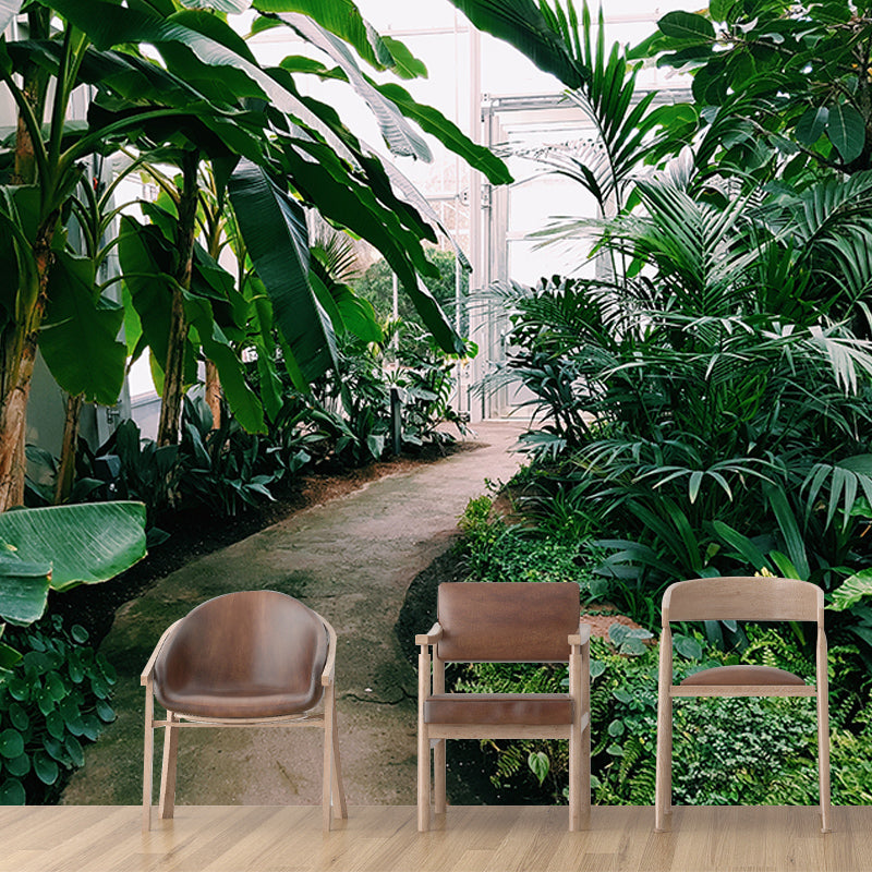 Environmental Wall Mural Wallpaper Tropical Landscape Sitting Room Wall Mural