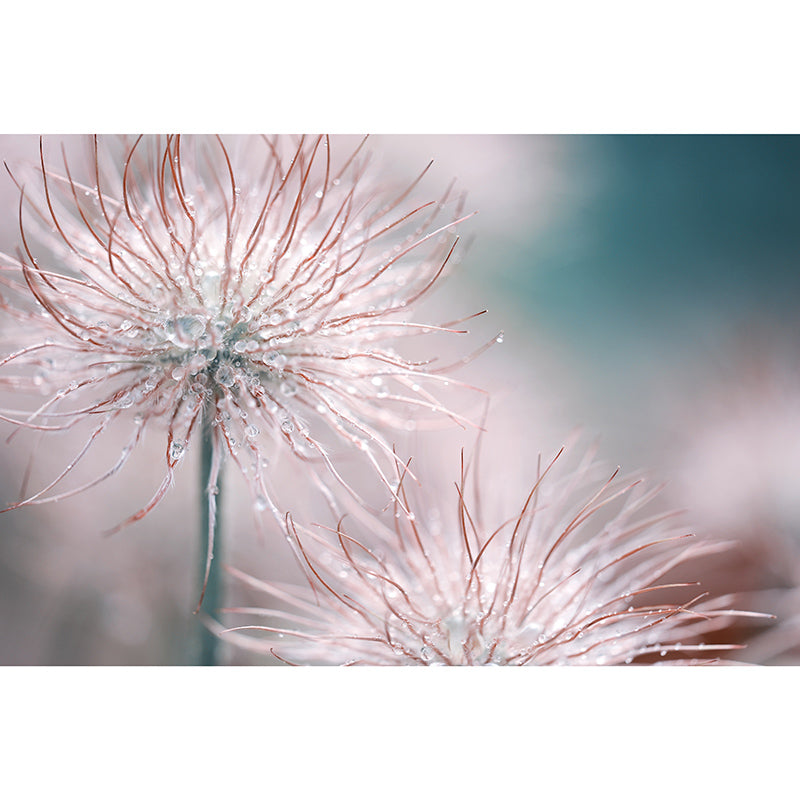 Environment Friendly Mural Wallpaper Flowers Photography Bedroom Wall Mural