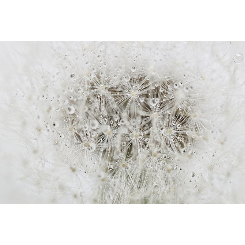 Beautiful Photography Mural Wallpaper Flowers Decorative Indoor Wall Mural