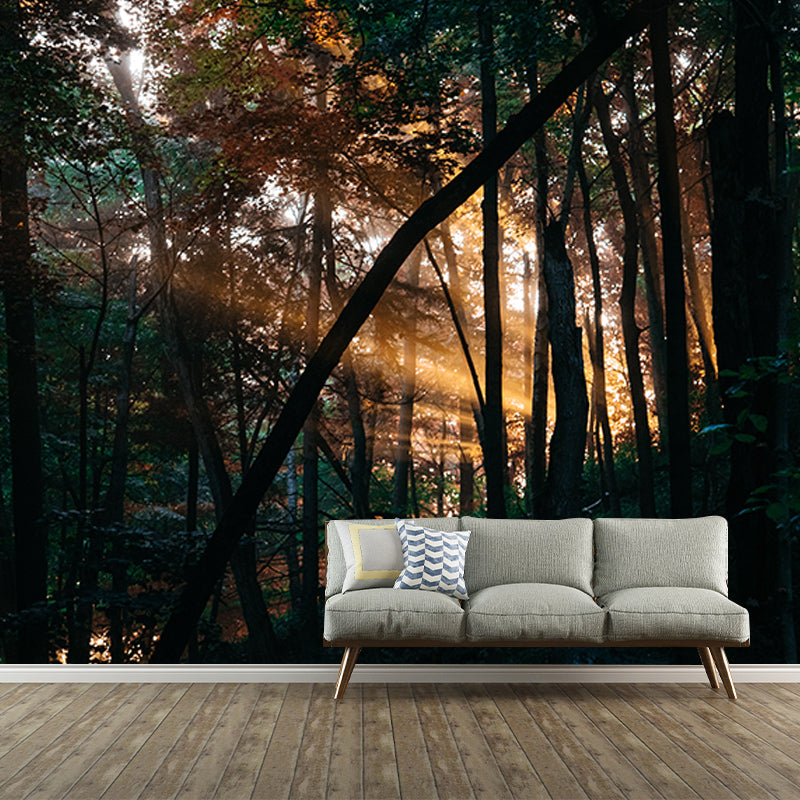 Washable Stain Resistant Mural Wallpaper Quiet Forest Indoor Wall Mural