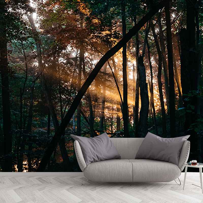 Washable Stain Resistant Mural Wallpaper Quiet Forest Indoor Wall Mural