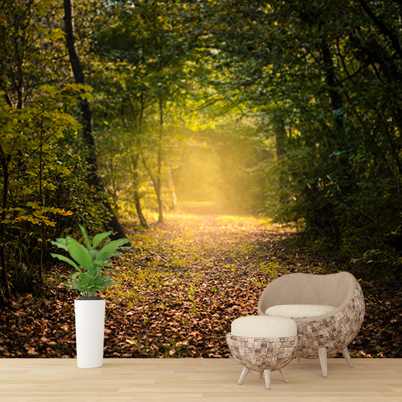 Photography Stain Resistant Wall Mural Wallpaper Quiet Forest Sitting Room Wall Mural