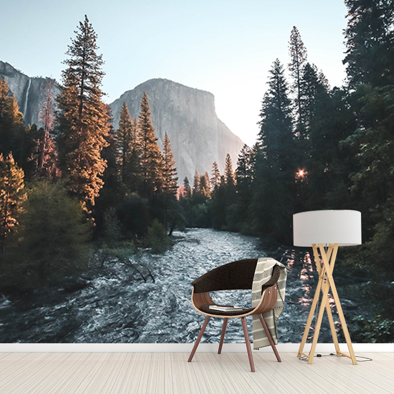 Photography Stain Resistant Wall Mural Wallpaper Quiet Forest Sitting Room Wall Mural