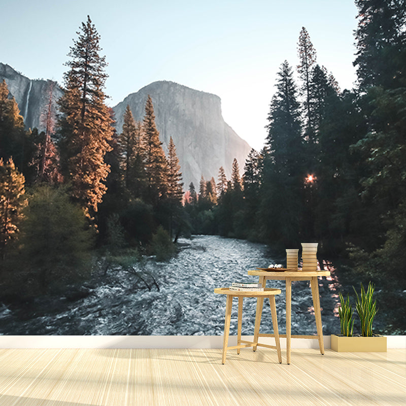 Photography Stain Resistant Wall Mural Wallpaper Quiet Forest Sitting Room Wall Mural