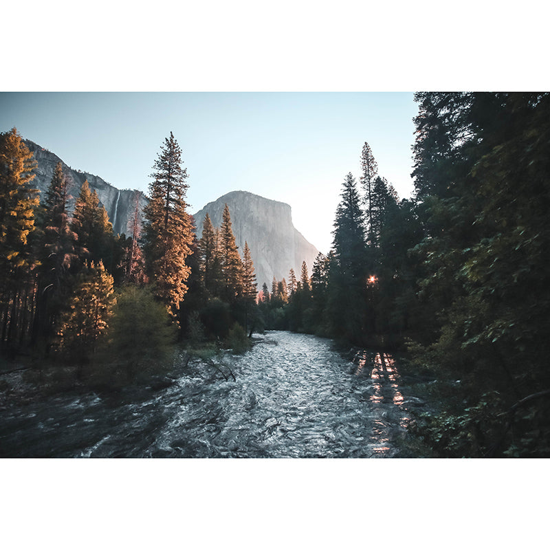 Photography Stain Resistant Wall Mural Wallpaper Quiet Forest Sitting Room Wall Mural