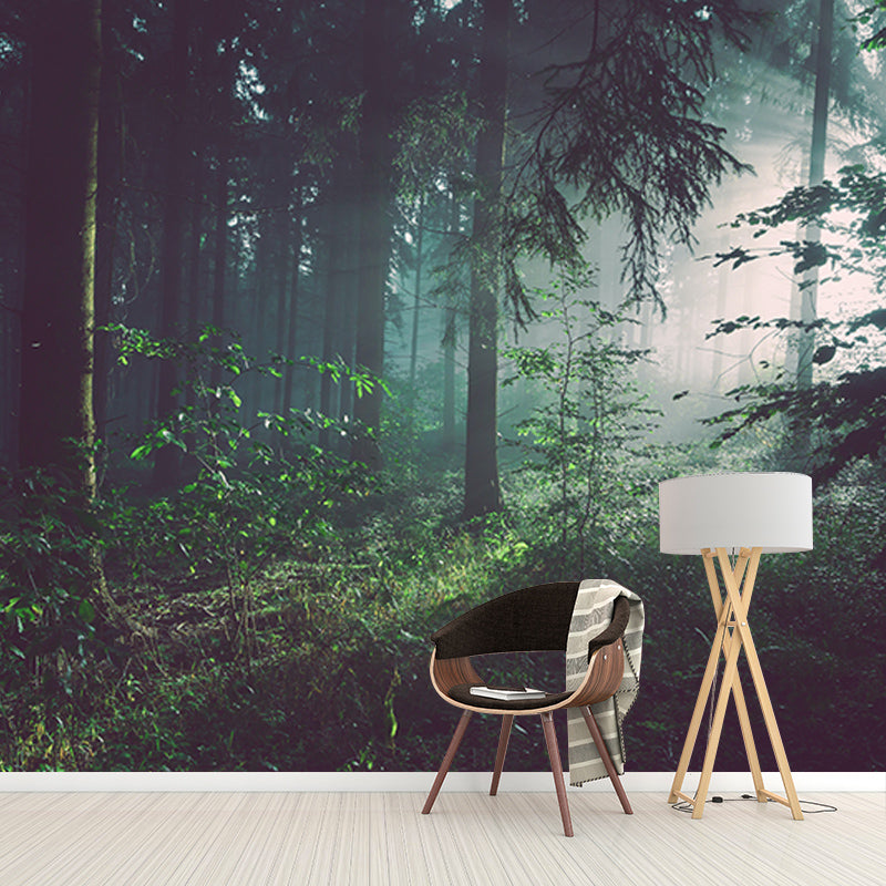 Photography Wall Mural Wallpaper Quiet Forest Sitting Room Wall Mural