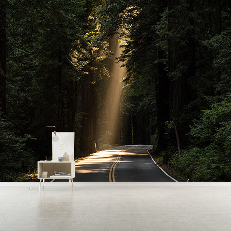 Modern Style Wall Mural Wallpaper Quiet Forest Sitting Room Wall Mural