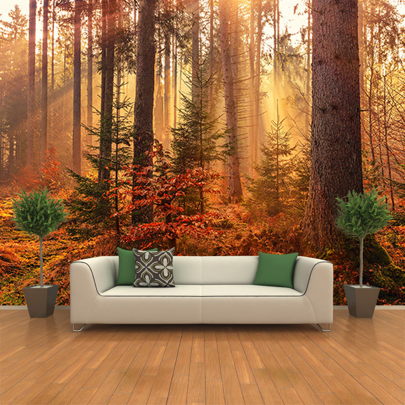 Modern Style Wall Mural Wallpaper Quiet Forest Sitting Room Wall Mural