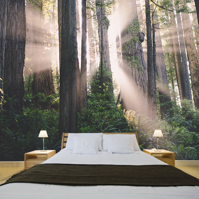 Modern Style Wall Mural Wallpaper Quiet Forest Sitting Room Wall Mural