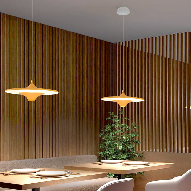 Modern Style Unique Shape Pendant Lighting Metal 2 Light Pendant Light for Bedroom