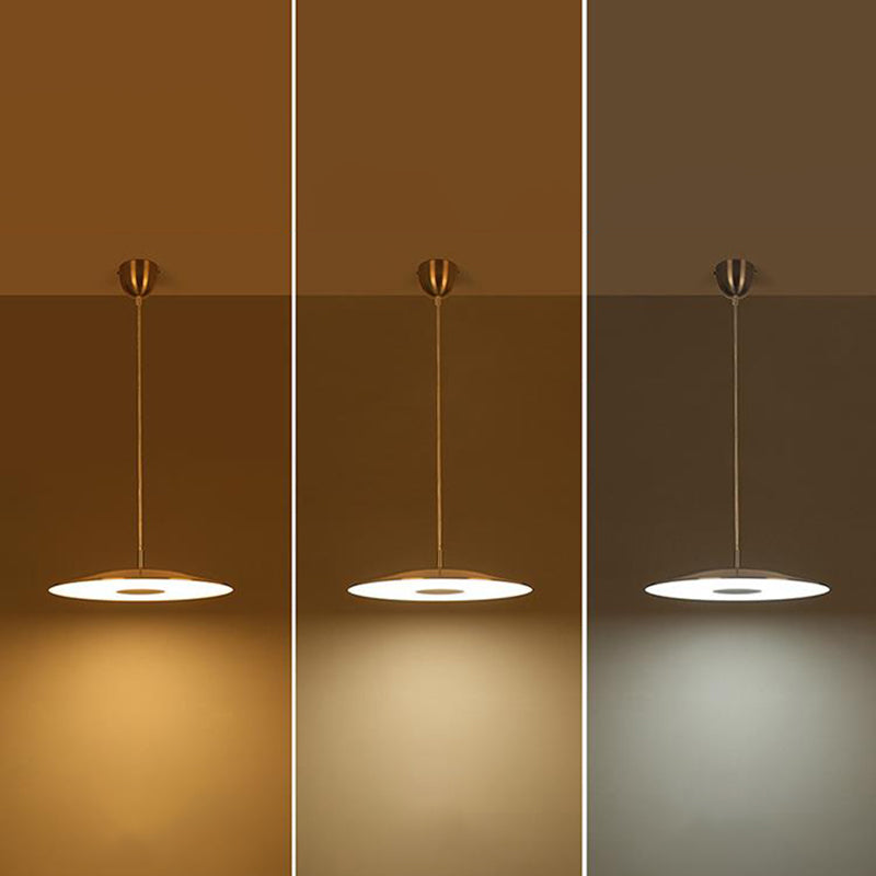 Forme rond en métal suspendu léger style moderne 1 lumière suspendue à la lumière montée sur la lumière