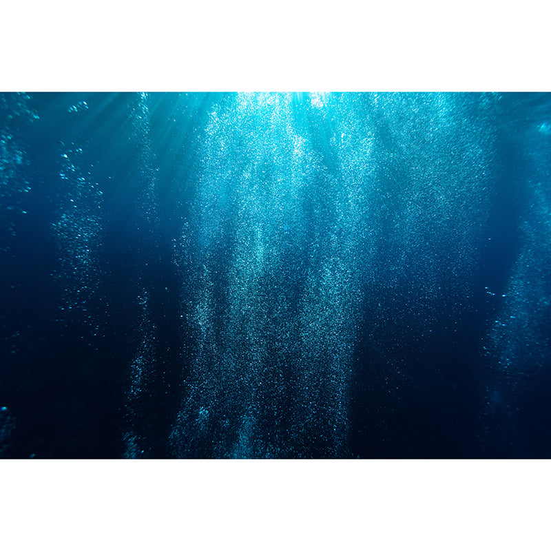 Modern Style Wall Mural Wallpaper Underwater World Bedroom Wall Mural