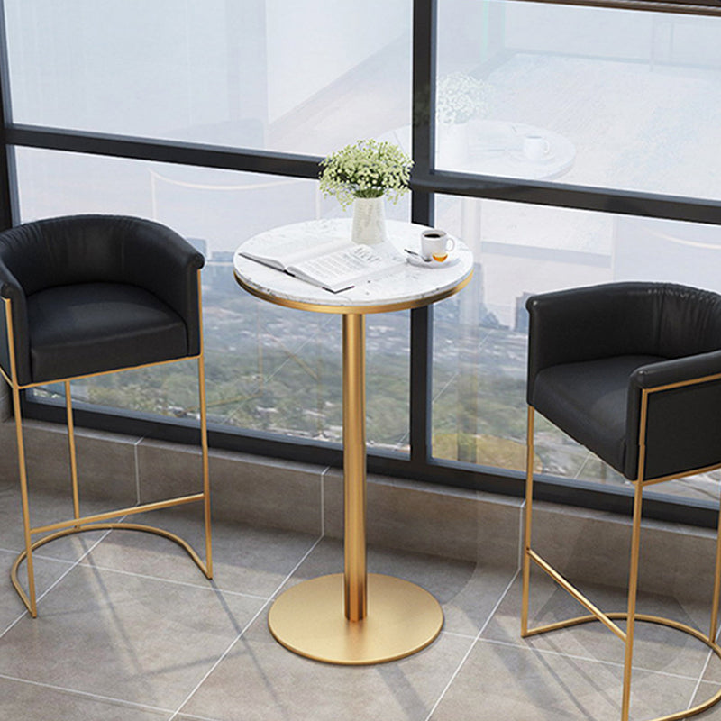 Scandinavian Bar and Counter Stool Low Back Stool with Pedestal Base in Gold