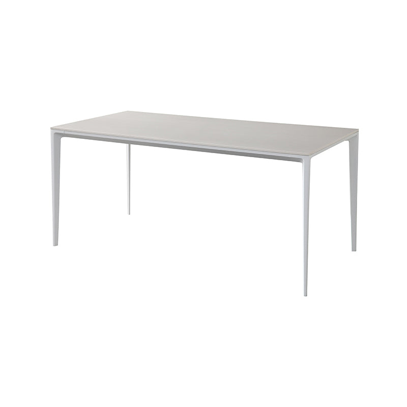 Designer Style 1/4/5/7 Pieces Rectangle Dining Set Sintered Stone Dining Table with Chairs