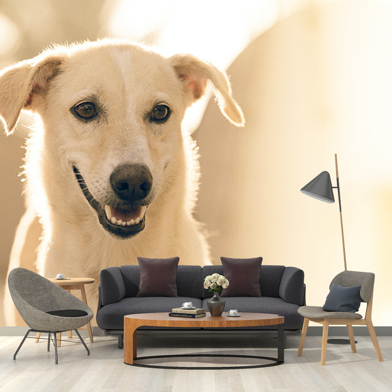 Washable Stain Resistant Mural Wallpaper Lovely Dogs Indoor Wall Mural
