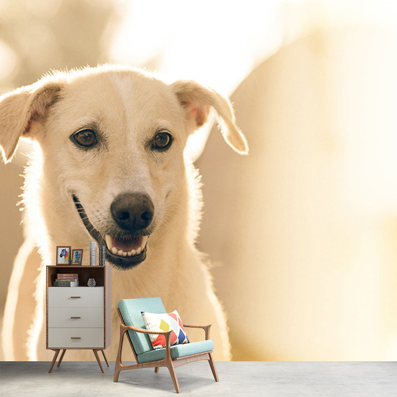 Washable Stain Resistant Mural Wallpaper Lovely Dogs Indoor Wall Mural