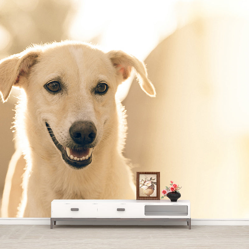 Washable Stain Resistant Mural Wallpaper Lovely Dogs Indoor Wall Mural