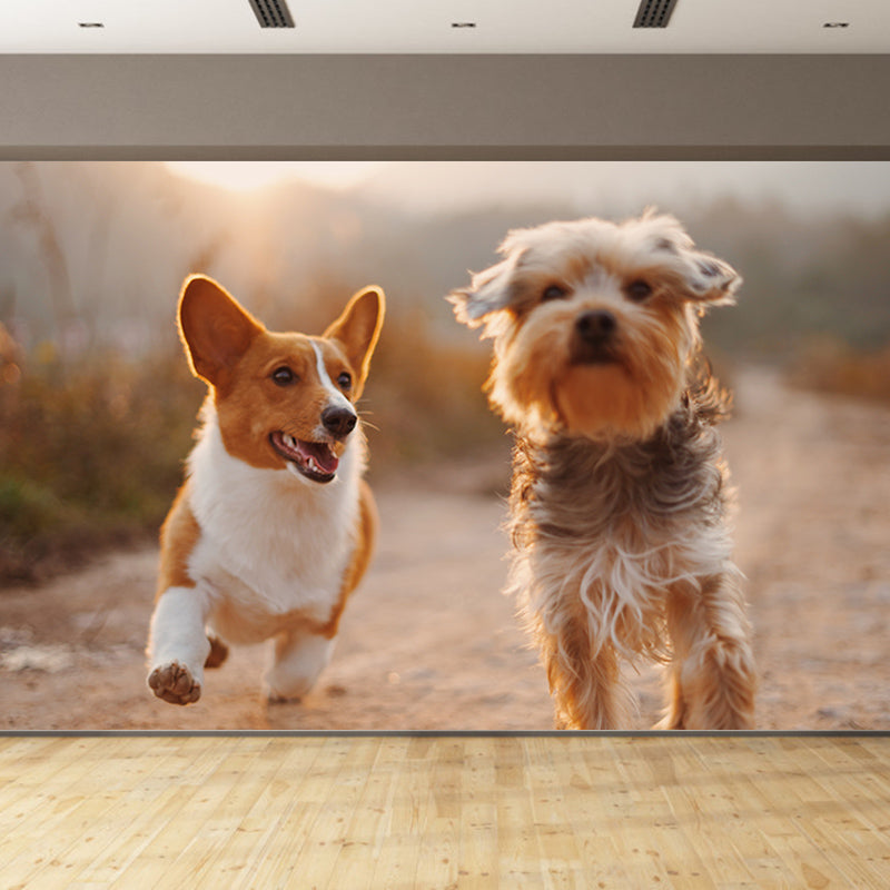Photography Stain Resistant Wall Mural Wallpaper Lovely Dogs Sitting Room Wall Mural