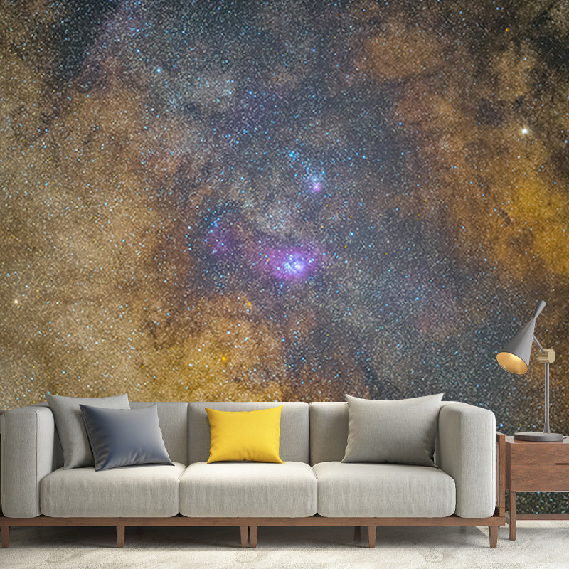 Photography Stain Resistant Mural Wallpaper Beautiful Galaxy Living Room Wall Mural