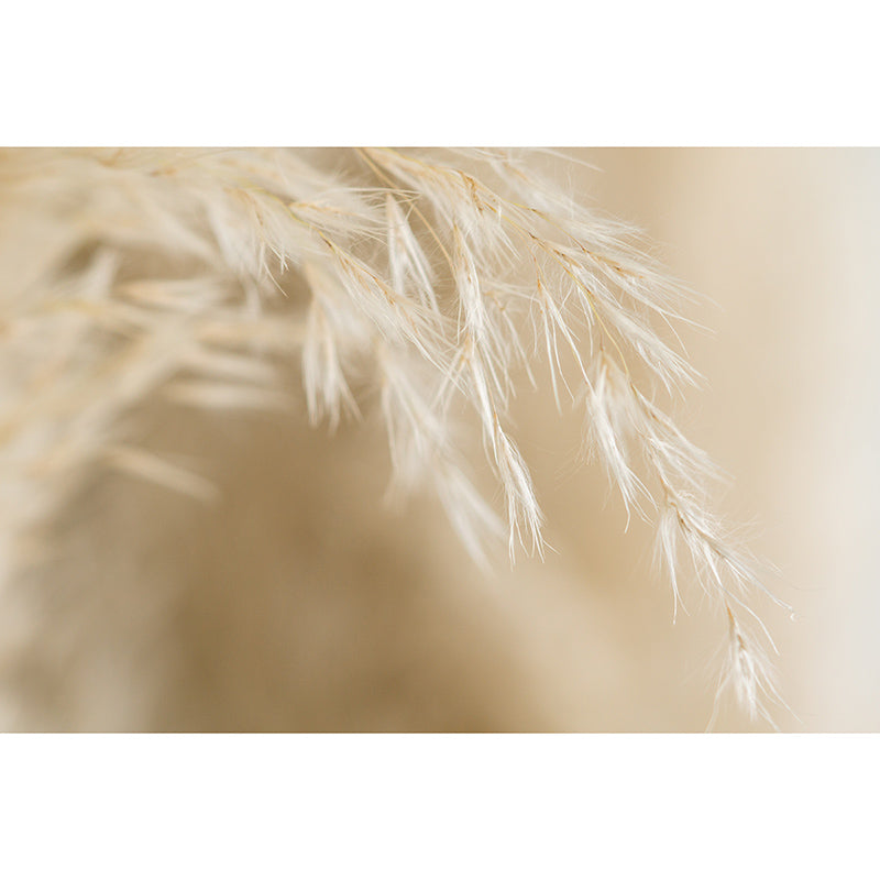 Beautiful Photography Mural Wallpaper Soft Feathers Indoor Wall Mural