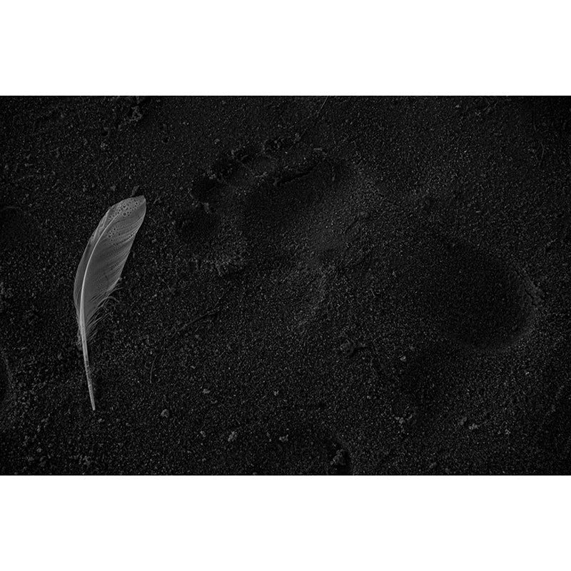 Photography Stain Resistant Mural Wallpaper Soft Feathers Sleeping Room Wall Mural