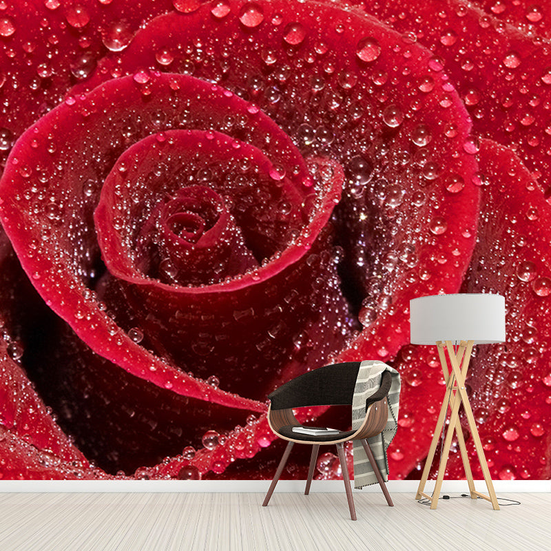 Modern Photography Mural Wallpaper Elegant Rose Indoor Wall Mural