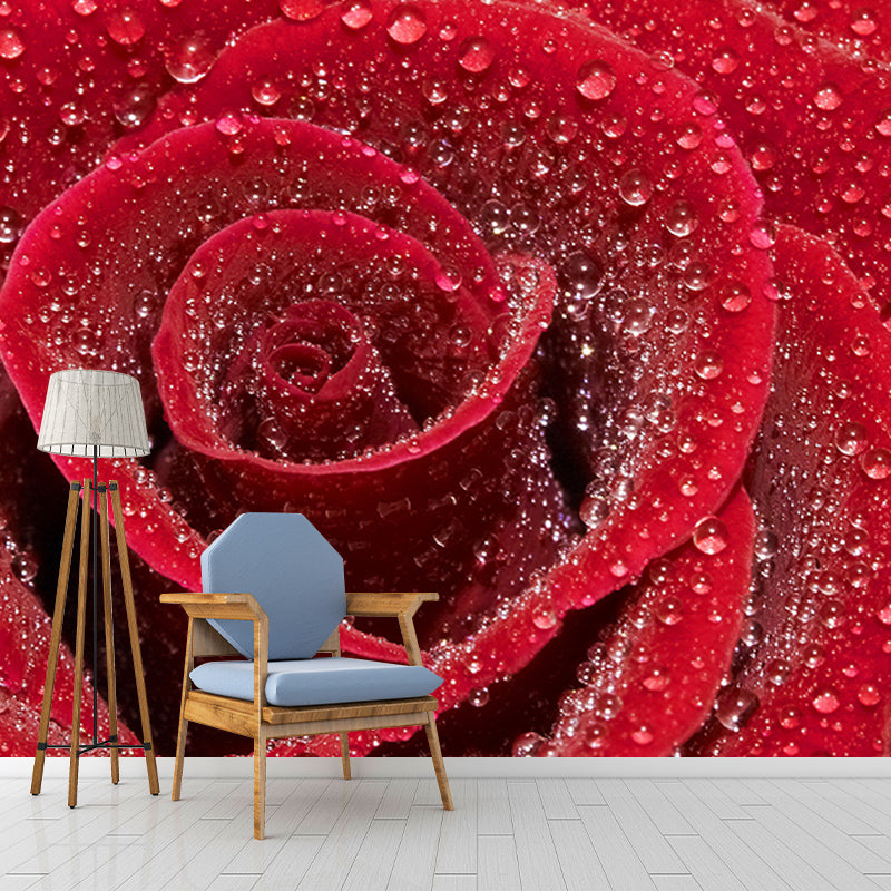 Modern Photography Mural Wallpaper Elegant Rose Indoor Wall Mural
