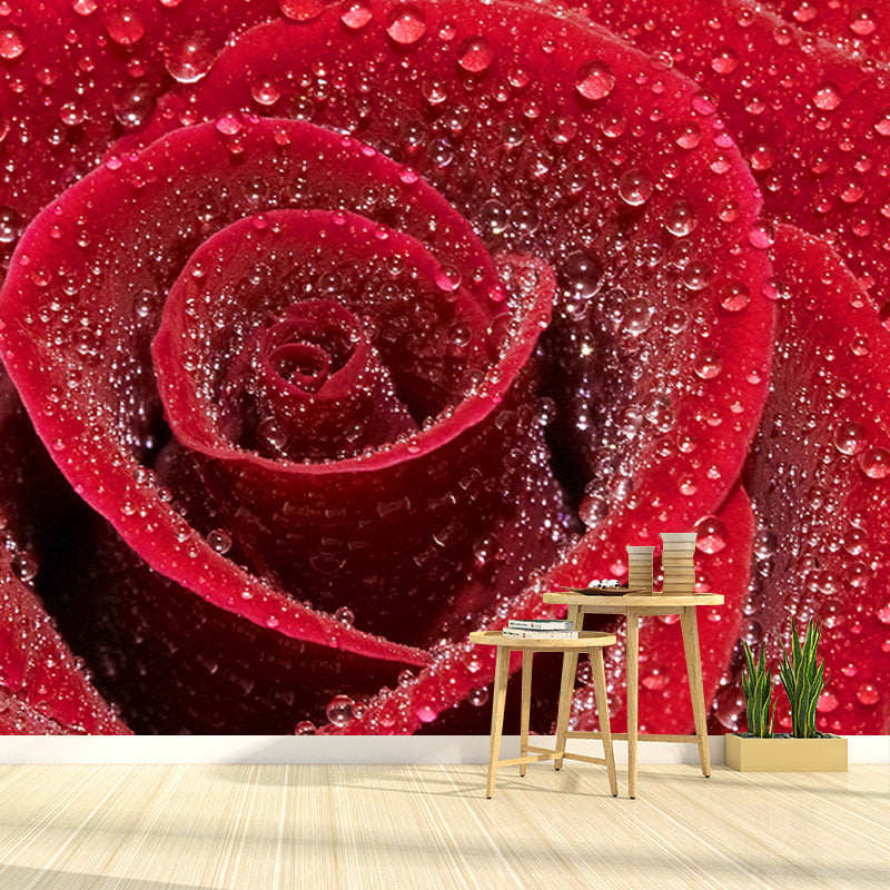 Modern Photography Mural Wallpaper Elegant Rose Indoor Wall Mural