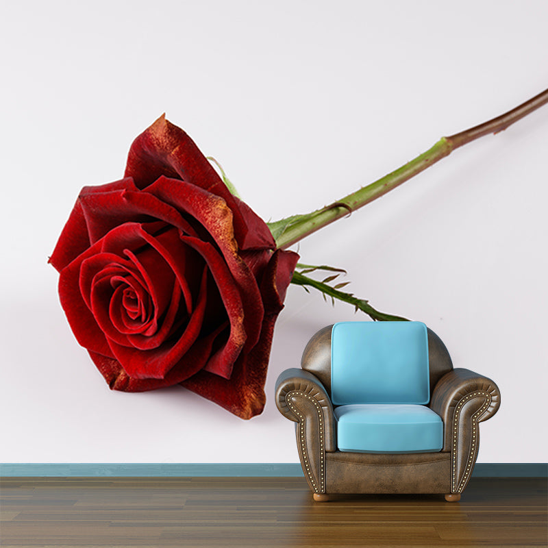 Photography Stain Resistant Wallpaper Beautiful Roses Living Room Wall Mural