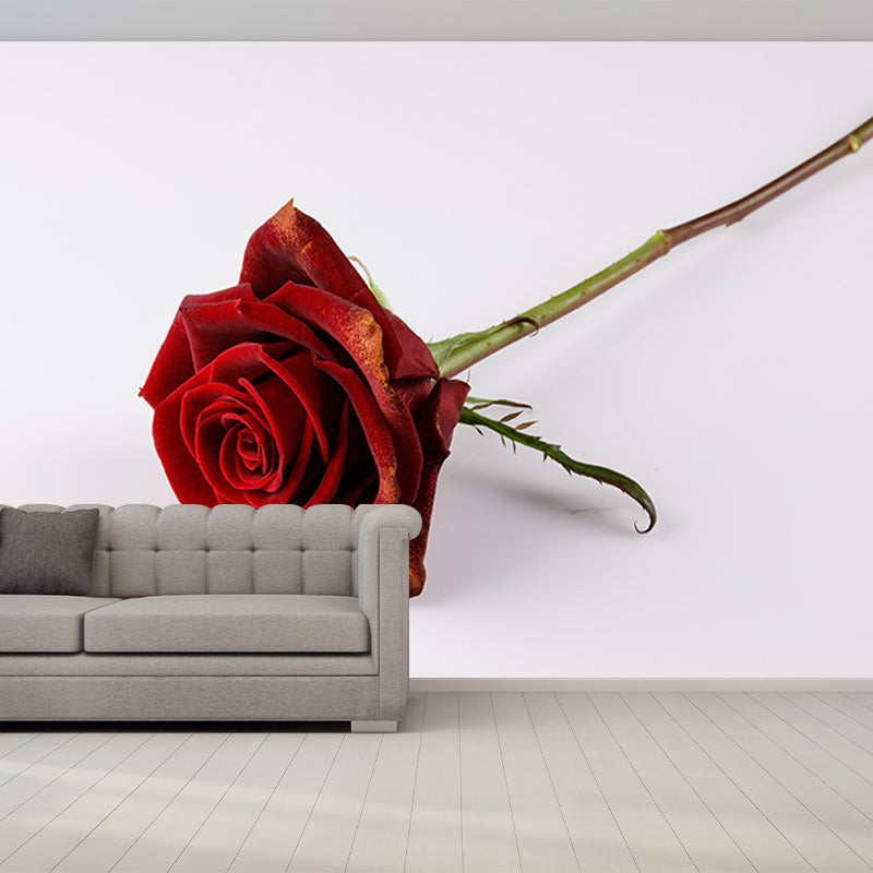 Photography Stain Resistant Wallpaper Beautiful Roses Living Room Wall Mural