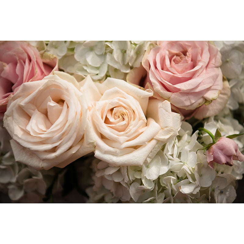 Environmental Wall Mural Wallpaper Beautiful Roses Living Room Wall Mural