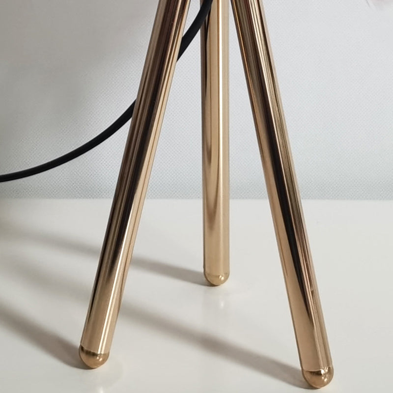 Moderne Style Schreibtisch Beleuchtung kreative Federschreibtischlampe für Schlafzimmer