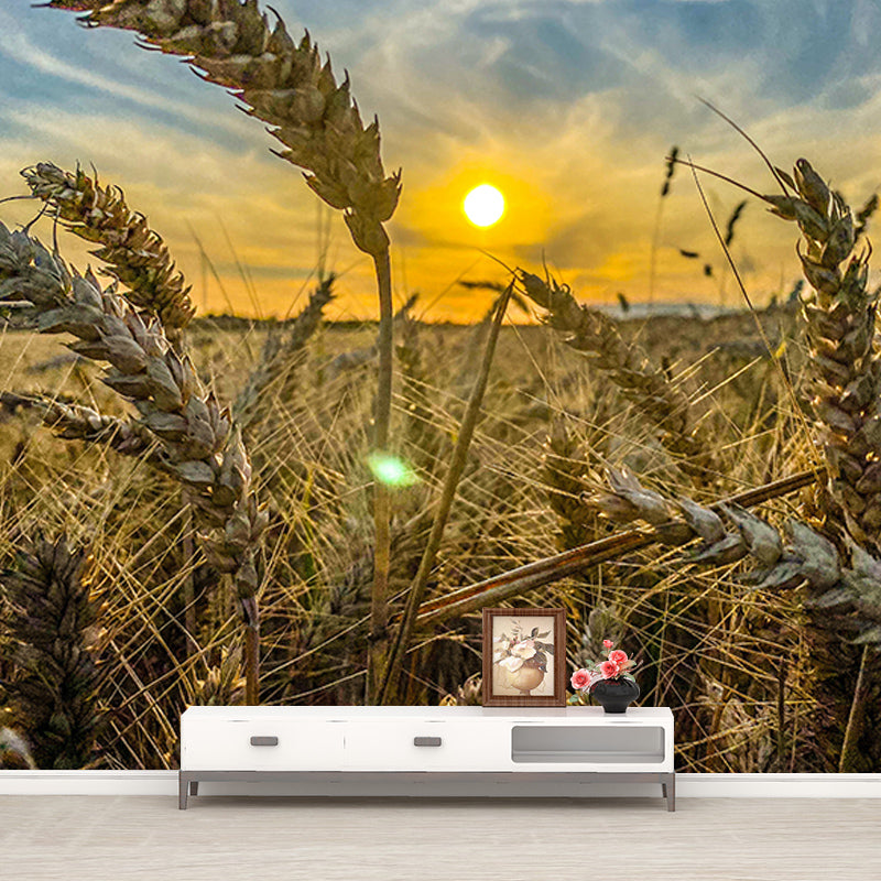 Wheat Field Mildew Resistant Wallpaper Photography Sleeping Room Wall Mural