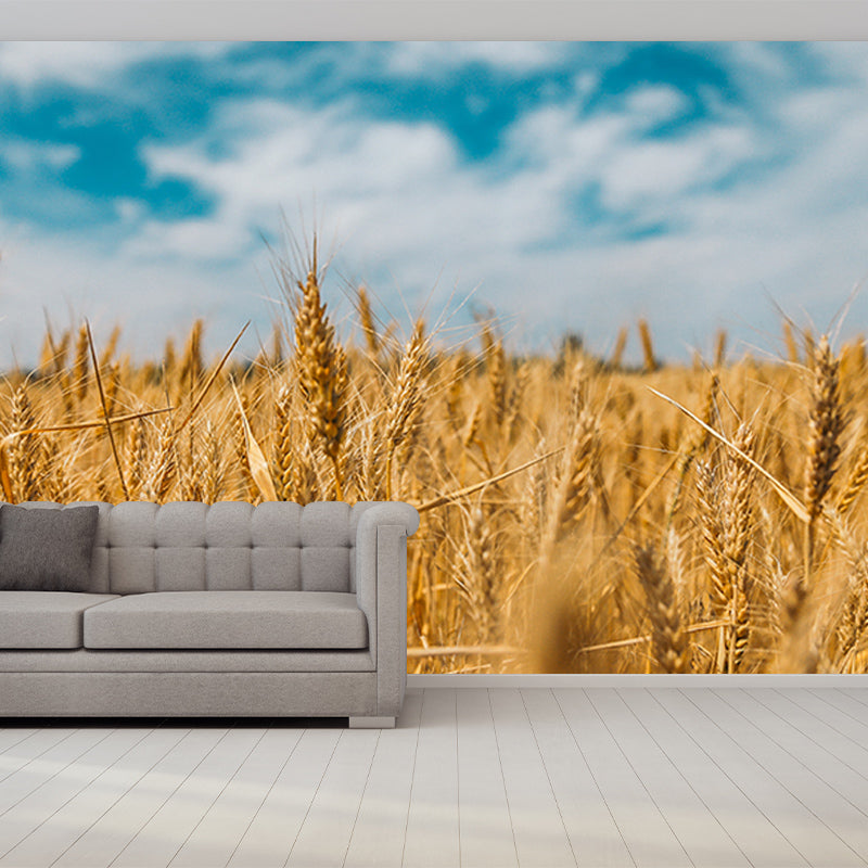 Beautiful Photography Mural Wallpaper Wheat Field Indoor Wall Mural