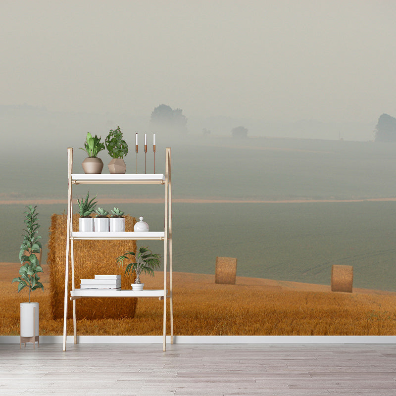 Beautiful Photography Mural Wallpaper Wheat Field Indoor Wall Mural