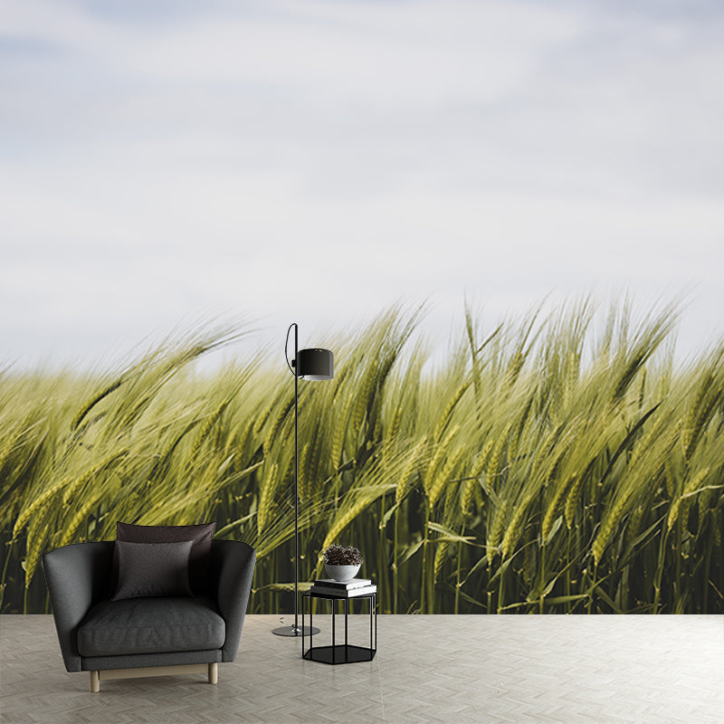Beautiful Photography Mural Wallpaper Wheat Field Indoor Wall Mural