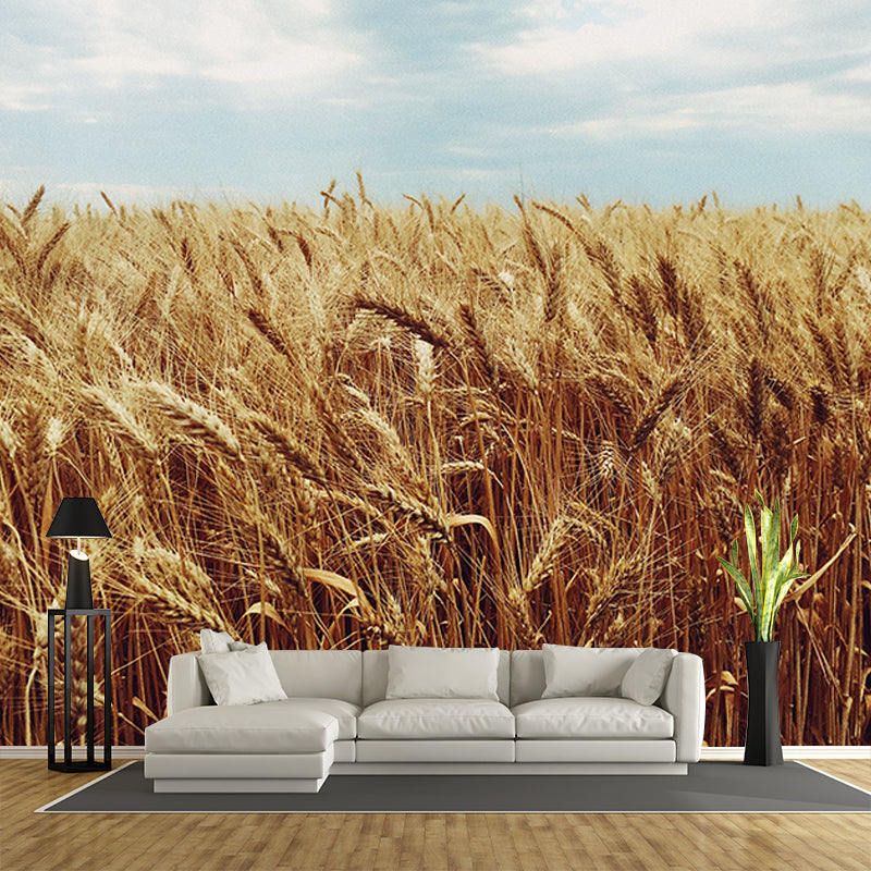 Photography Stain Resistant Mural Wallpaper Wheat Field Sleeping Room Wall Mural