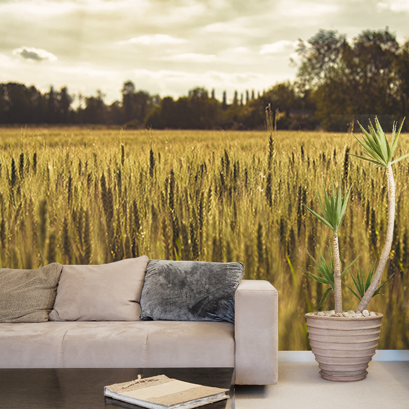 Photography Stain Resistant Mural Wallpaper Wheat Field Sleeping Room Wall Mural