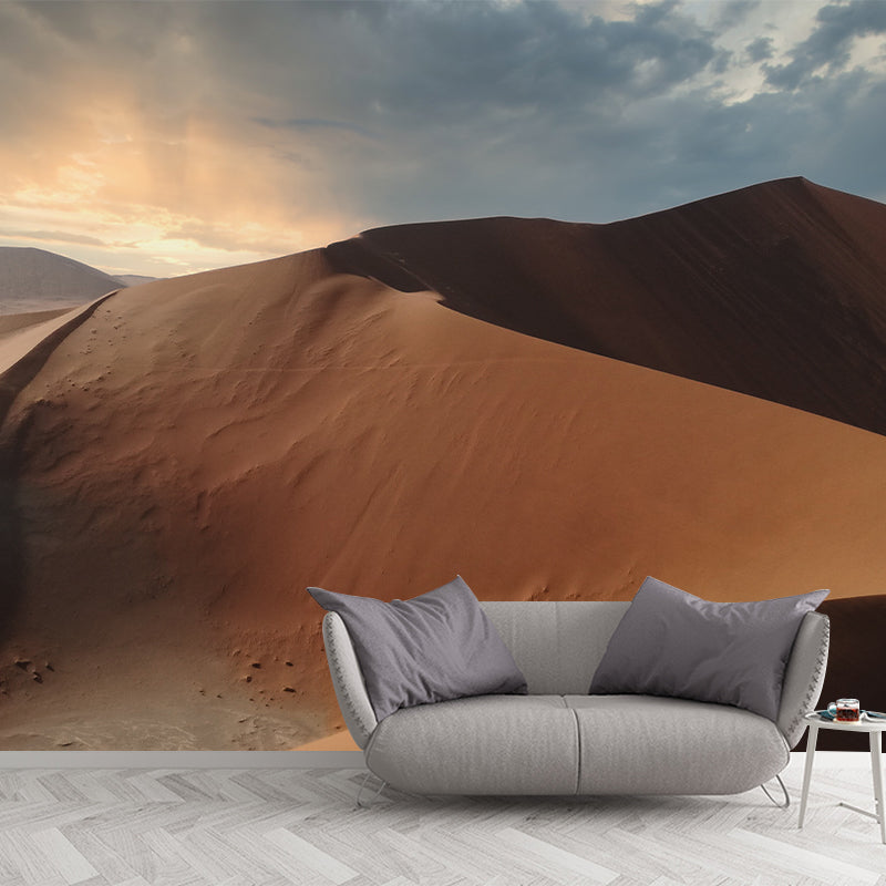Desert Landscape Photography Stain Resistant Mural Wallpaper Indoor Wall Mural