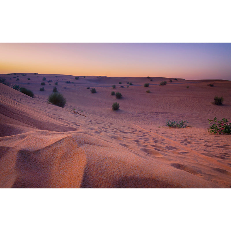 Wallpaper Environmental Wall Mural Desert Landscape Living Room Wall Mural