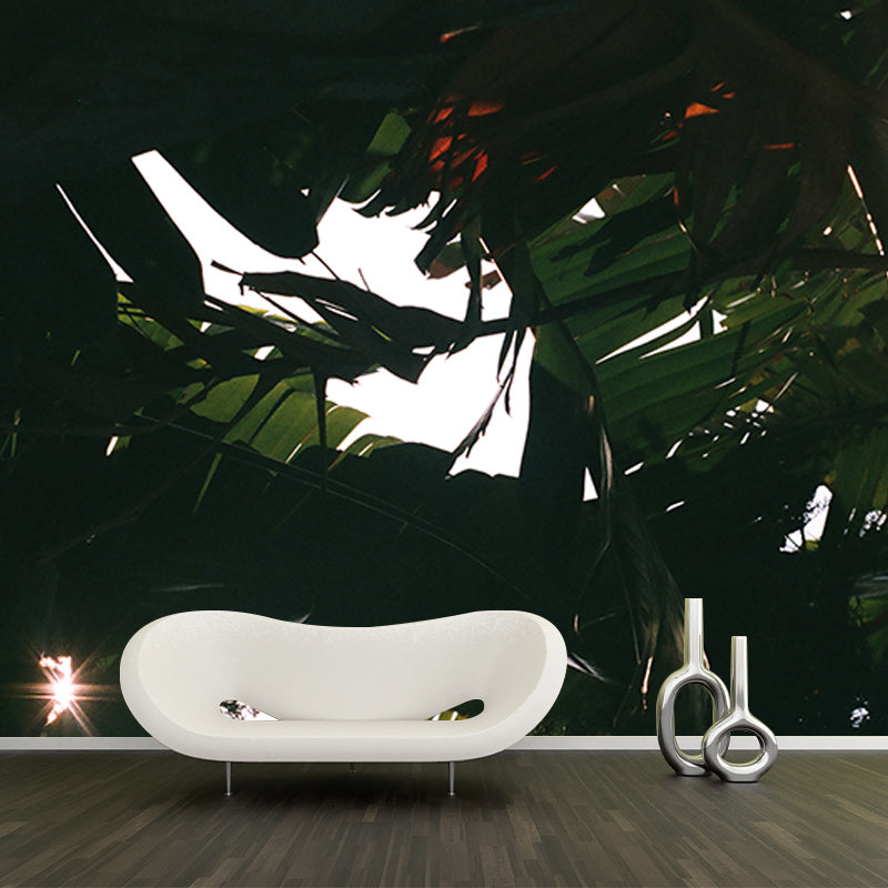 Tropical Plants Environmental Photography Mural Wallpaper Indoor Wall Mural