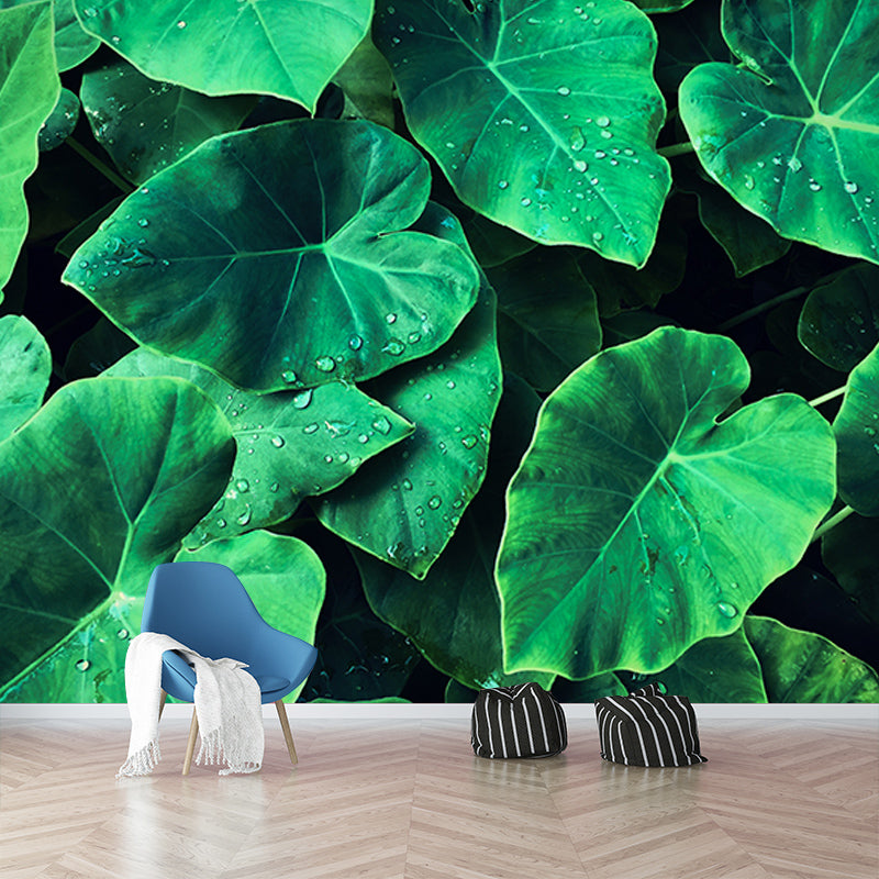 Wall Mural Environmental Wallpaper Tropical Landscape Living Room Wall Mural