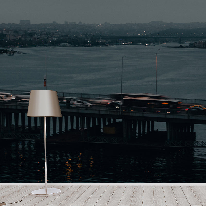 Washable Stain Resistant Mural Wallpaper Traffic Indoor Wall Mural