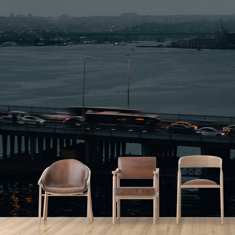 Washable Stain Resistant Mural Wallpaper Traffic Indoor Wall Mural