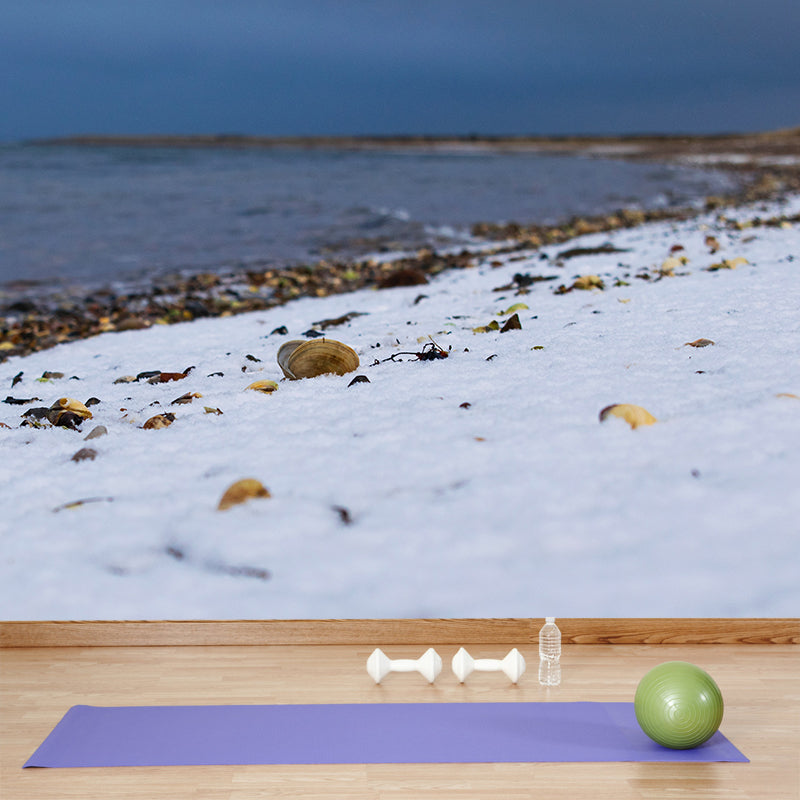 Sea Beach Mildew Resistant Mural Wallpaper Indoor Wall Mural