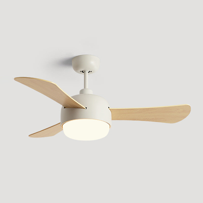 Modern Style Ceiling Fan Lamp Metal 1 Light Ceiling Fan Lighting for Study