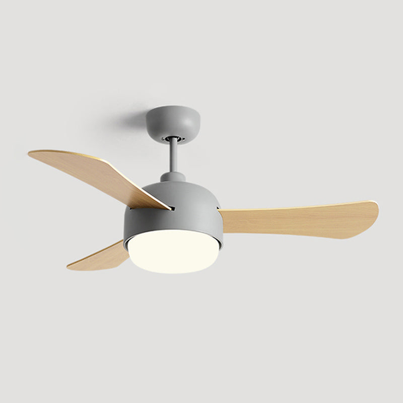 Modern Style Ceiling Fan Lamp Metal 1 Light Ceiling Fan Lighting for Study