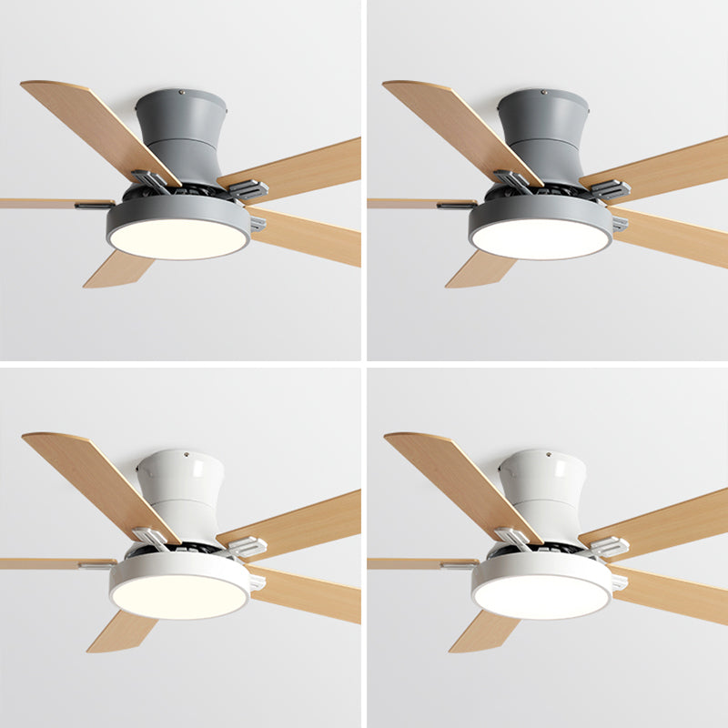 Modern Style Ceiling Fan Lamp Metal 1 Light Ceiling Fan Lighting for Living Room